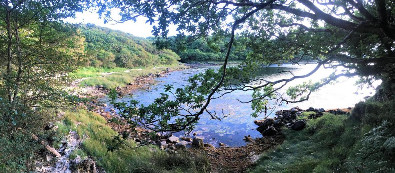 Fernwood Villa Clifden Dış mekan fotoğraf