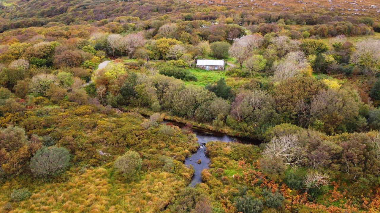 Fernwood Villa Clifden Dış mekan fotoğraf