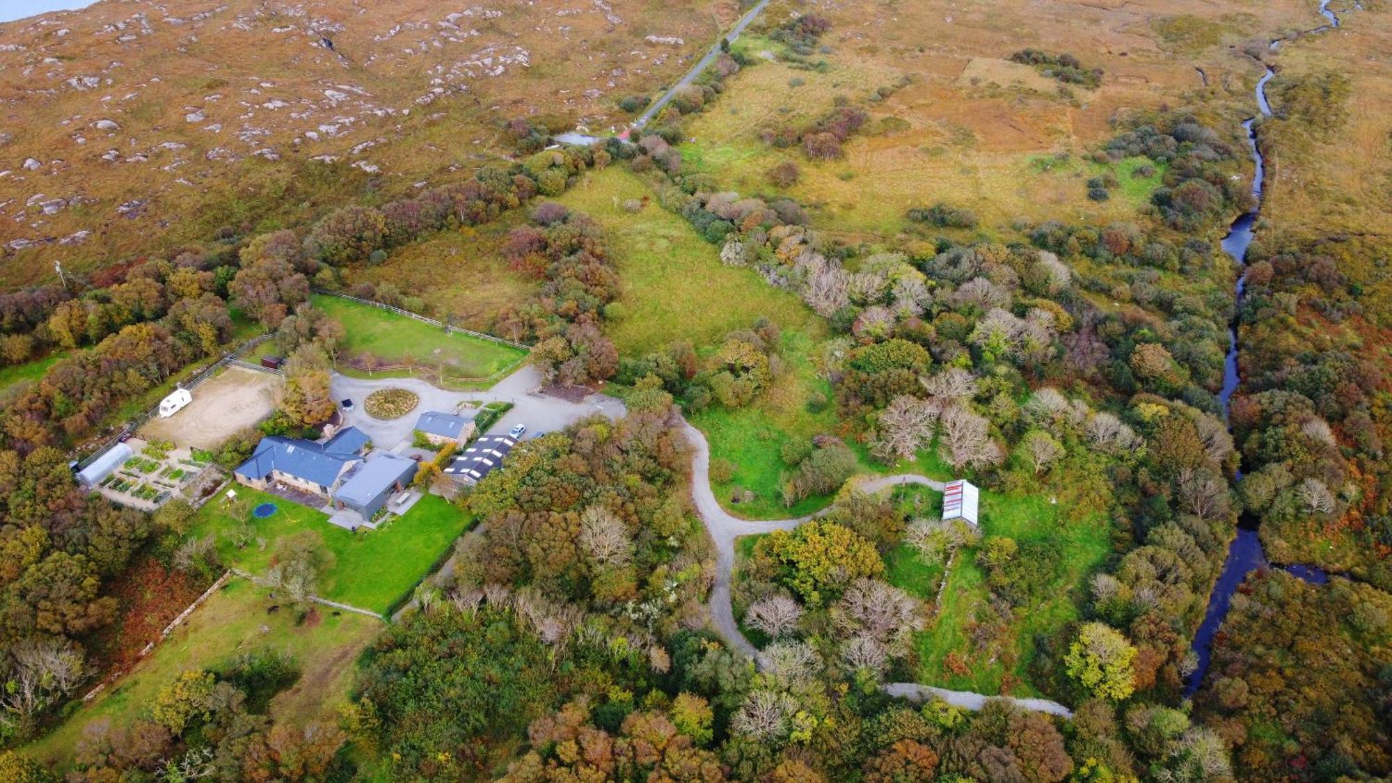 Fernwood Villa Clifden Dış mekan fotoğraf