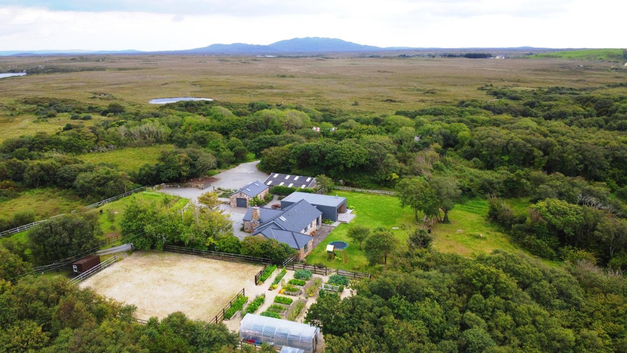 Fernwood Villa Clifden Dış mekan fotoğraf