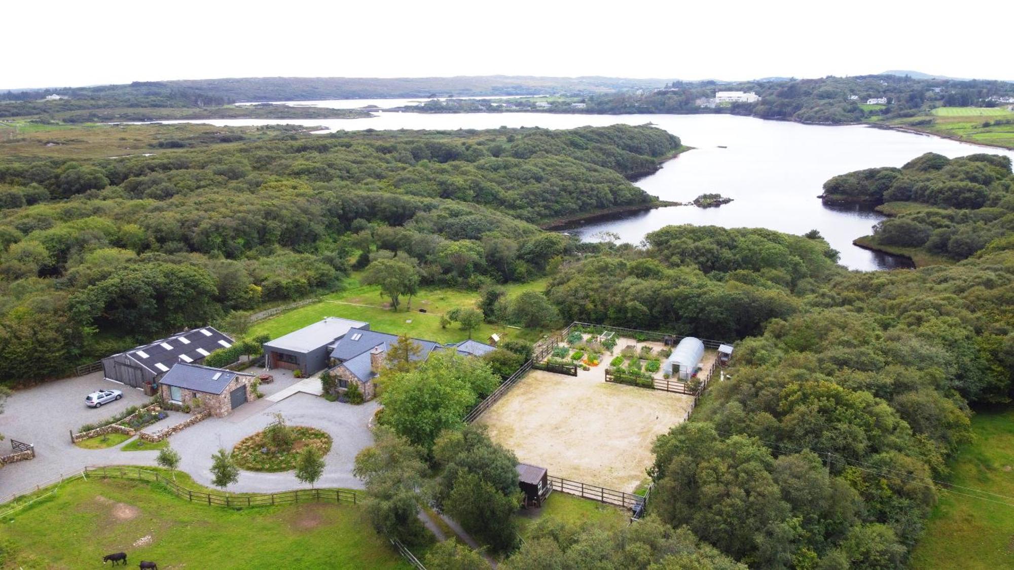 Fernwood Villa Clifden Dış mekan fotoğraf