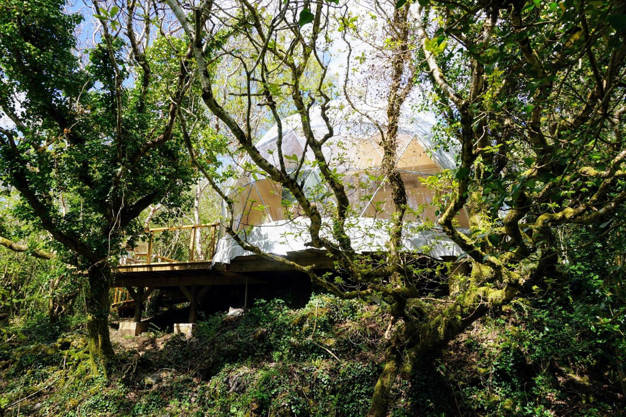 Fernwood Villa Clifden Oda fotoğraf